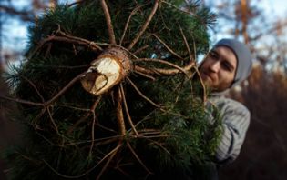 Back Pain and the Holidays