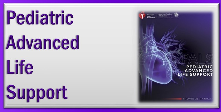 PALS- Heartcode (Blended Learning)- December 19th, 2023