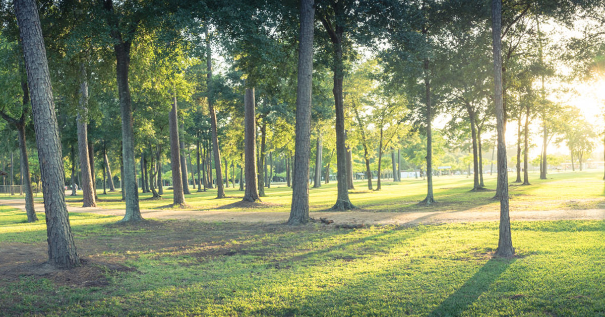 Outdoor Activities During COVID19 Wood County Hospital